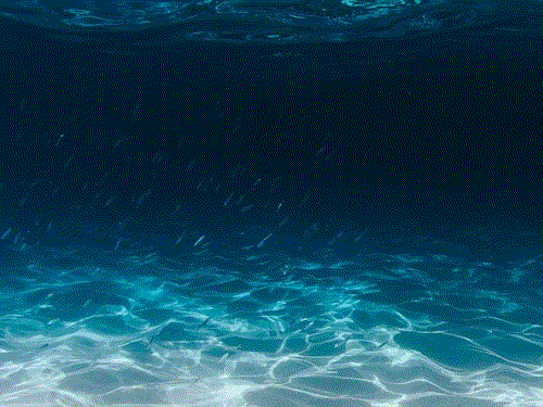 A deep ocean scene with bioluminescent creatures