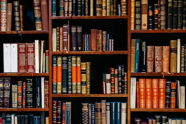 A warm, book-filled room — the spiritual home of Dangerous Wonder